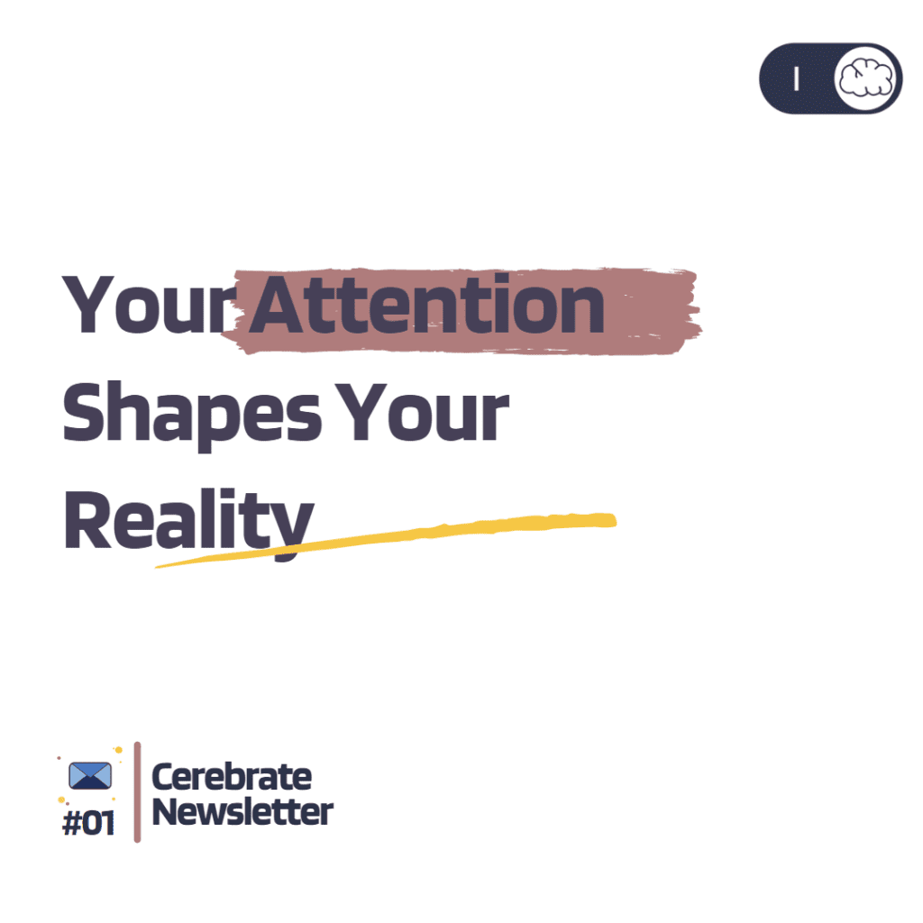 Your attention Shapes Your reality